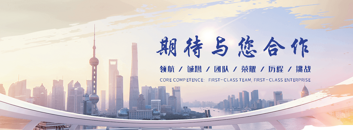 黄冈海狮租赁公司